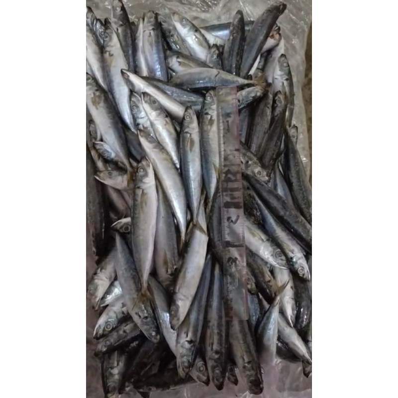 

Ikan Layang Deles Super 10kg isi 150-200 Ekor ( Frozen/Beku )