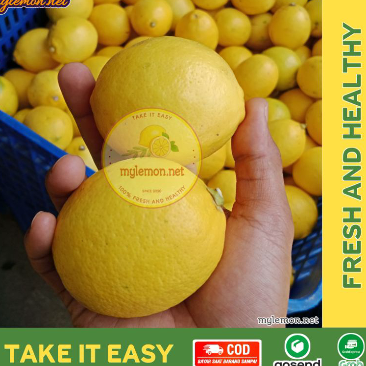 

Baru Lemon California Fresh 1 Kg / 1000 gram Isi 7-12 | Cocok Untuk Infused Water | [MYLEMON.NET] Dijual Murah