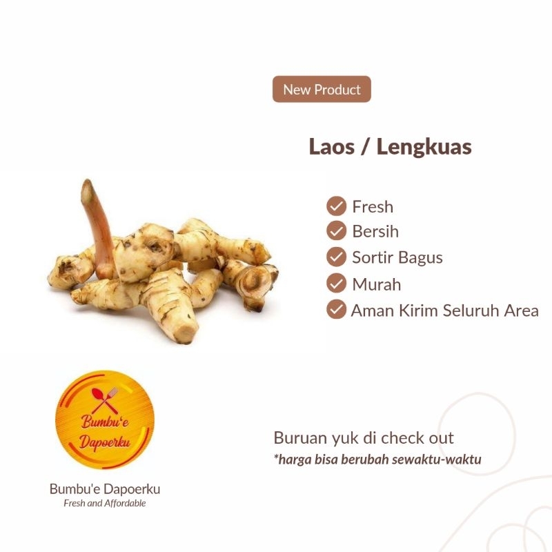 

Laos/Lengkuas | Fresh Product | Sortir Bagus