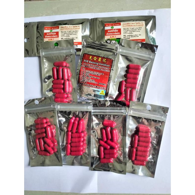Kapsul PSB Thailand (Photoshynthetic Bacteria)