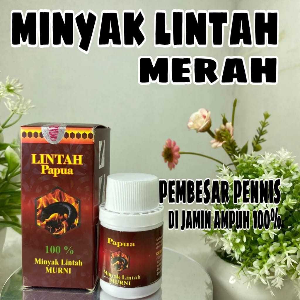 MINYAK LINTAH MERAH PAPUA