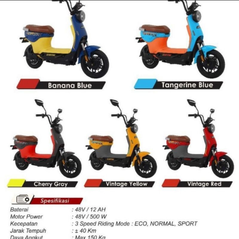 Sepeda Listrik Exotic X TRACK E bike