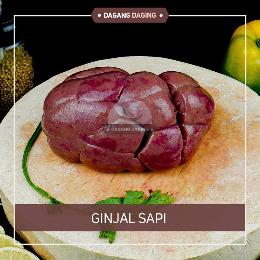 

Ginjal sapi