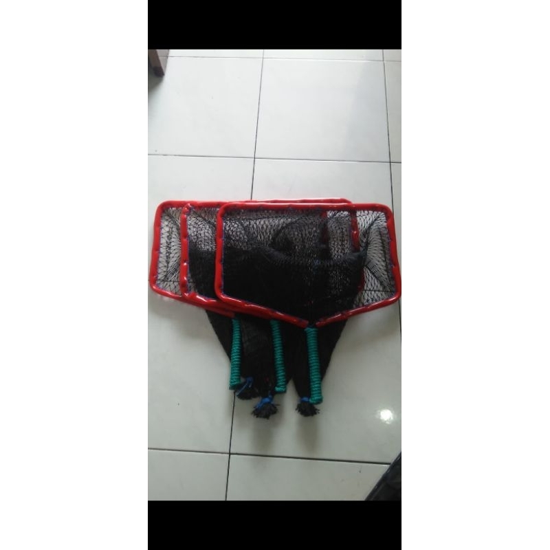 Serokan/Tanggok Ikan Konsumsi