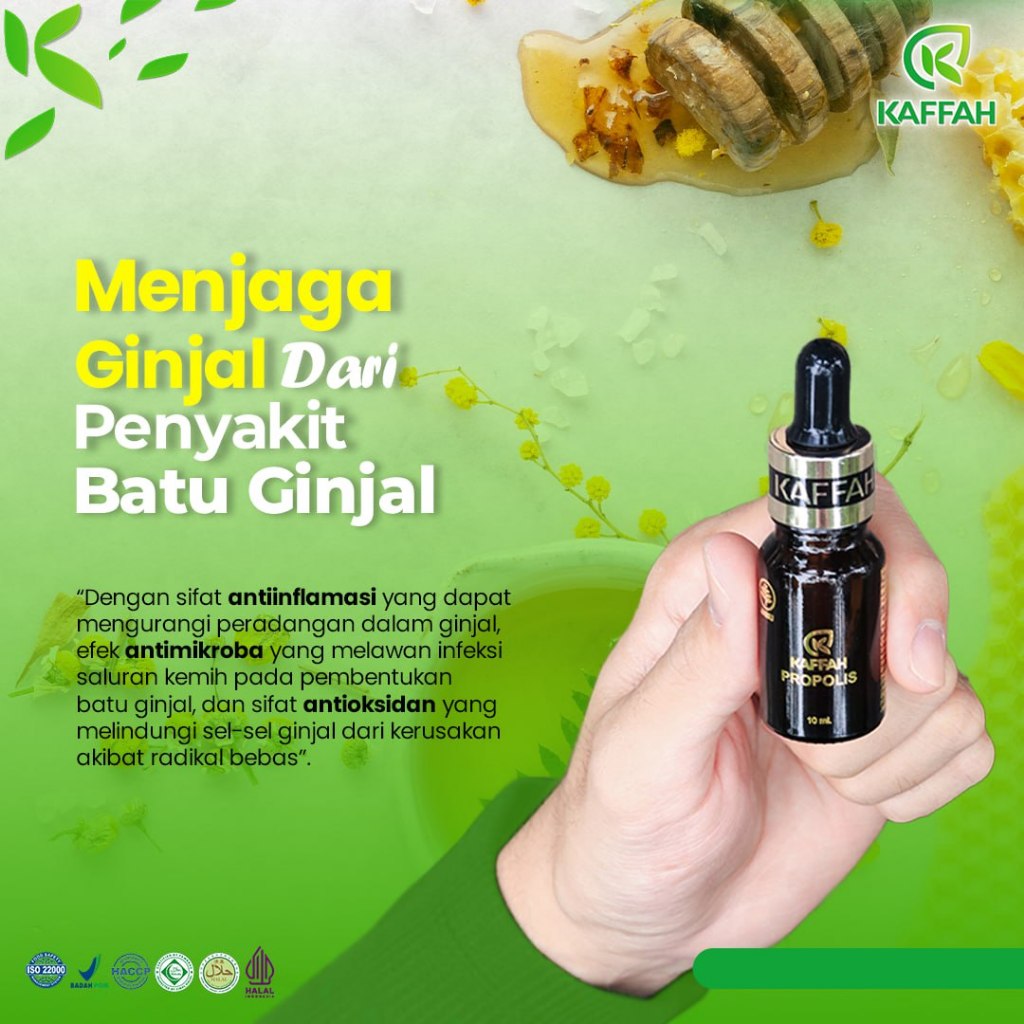 Herbal Batu Ginjal dan Sakit Pinggang Kaffah Propolis