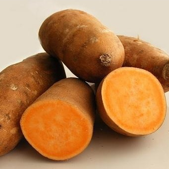 

UBI JALAR KUNING/ORANGE 1 KG SEGAR