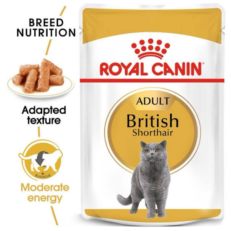 Royal canin british shorthair wetfood 85gr. makanan basah kucing british shorthair