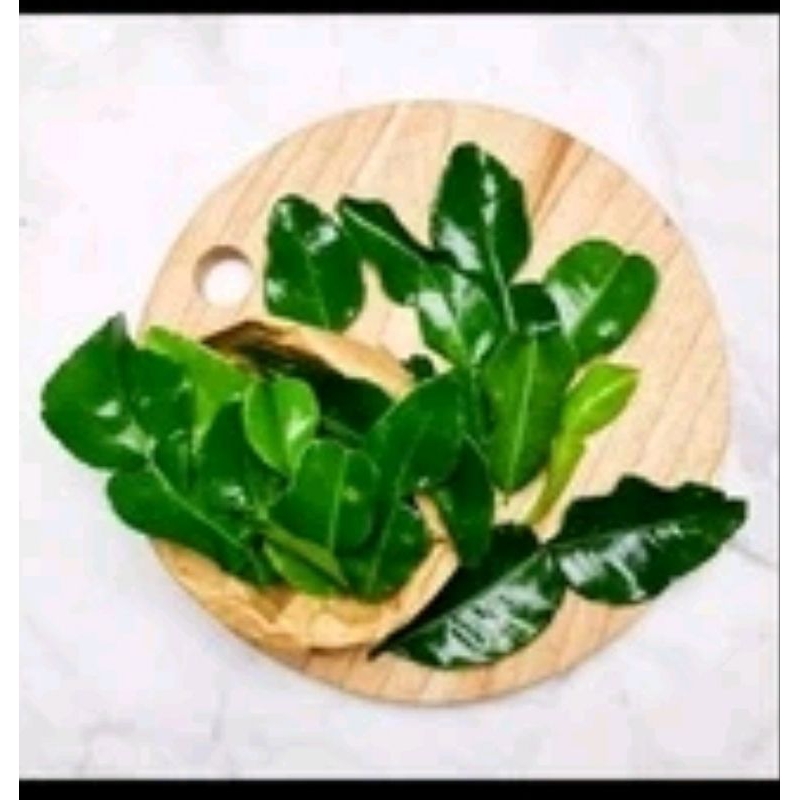 

daun jeruk