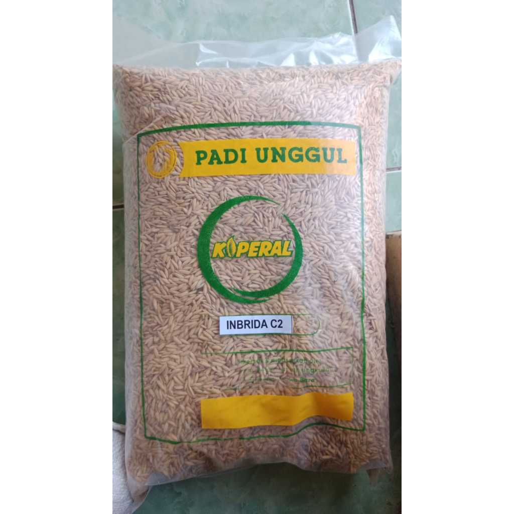 BENIH PADI INBRIDA C2