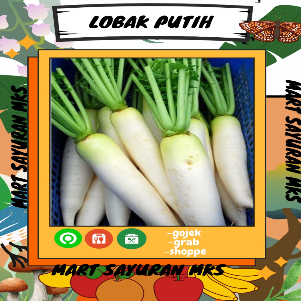

Lobak putih