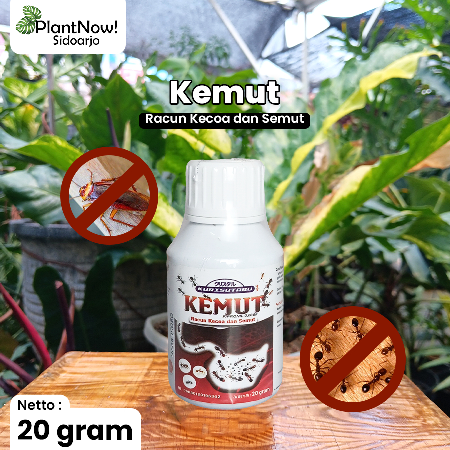 Harga fipronil kecoa Terbaru Mei 2026 | BigGo Indonesia