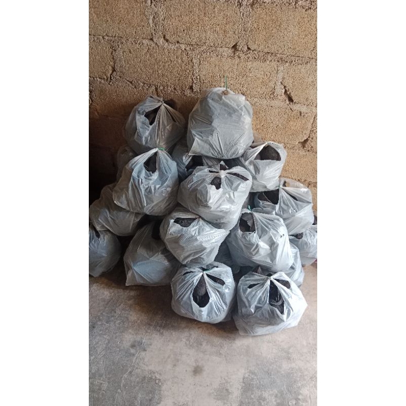 arang batok kelapa utuh