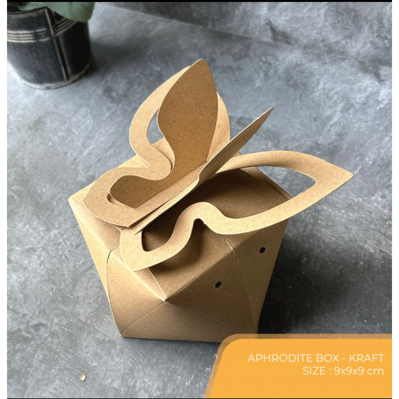 

box kupu kupu /Butterfly box souvenir box -krft