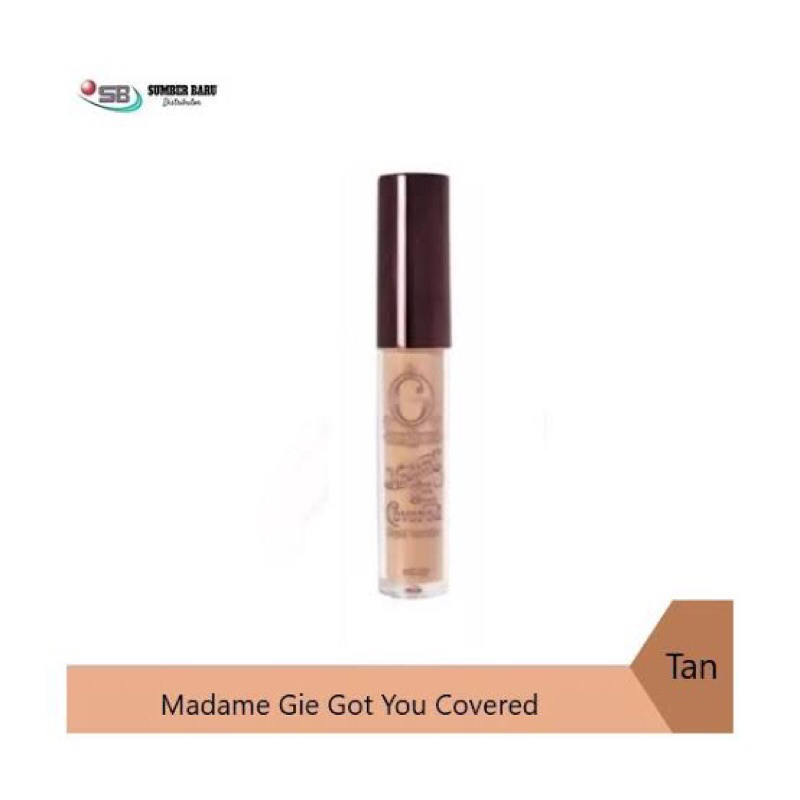 Madame Gie Concealer