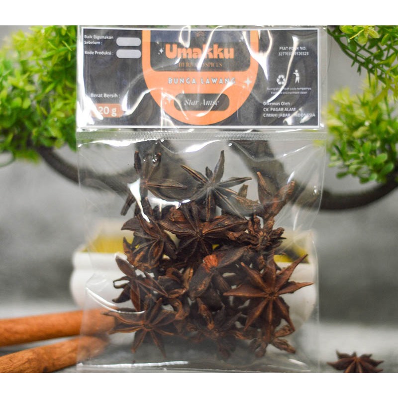 

Bunga Lawang / Star Anise