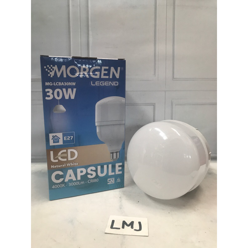 MORGEN LAMPU LED KAPSUL 30W 4000K NATURAL WHITE