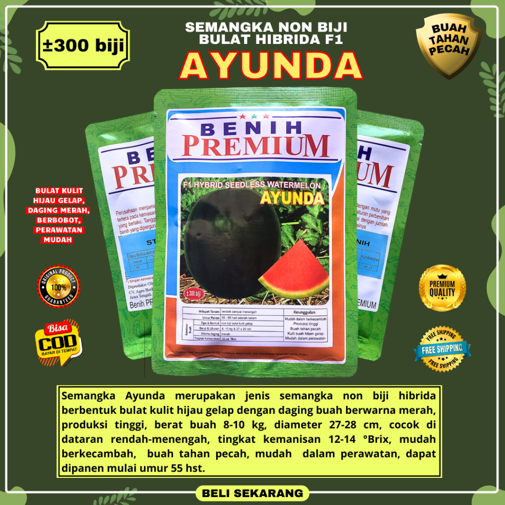 [ORIGINAL] Bibit Benih Semangka Besar Bulat Non Biji Hibrida F1 AYUNDA ± 300 biji Benih Premium | Ta