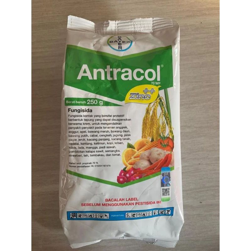 ANTRACOL 1 KG FUNGISIDA OBAT JAMUR