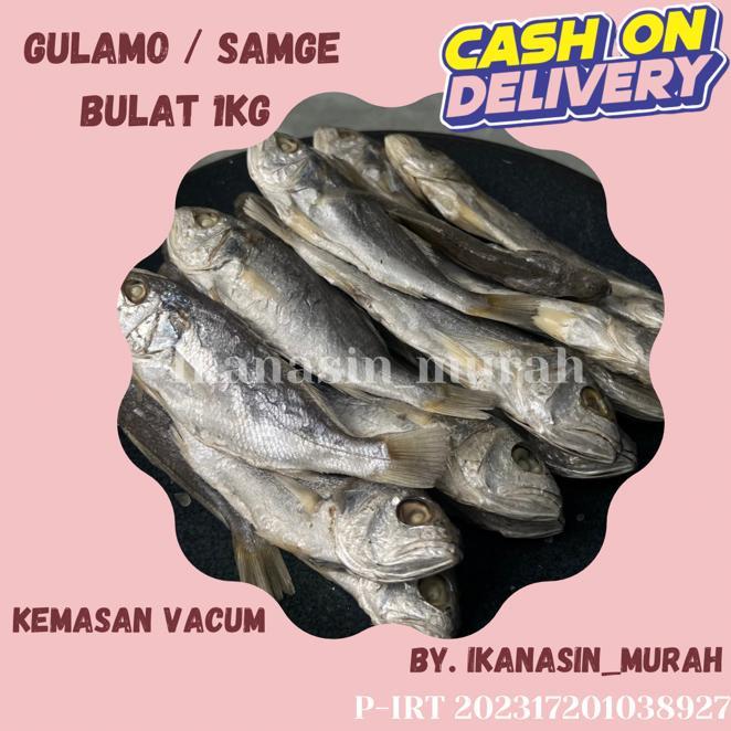 

IKAN ASIN GULAMO / SAMGE / KEPALA BATU 1KG / IKAN ASIN MURAH BISA COD
