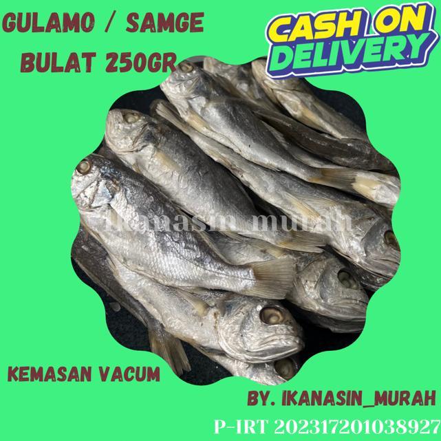 

IKAN ASIN GULAMO / SAMGE / KEPALA BATU 250GR / IKAN ASIN MURAH BISA COD