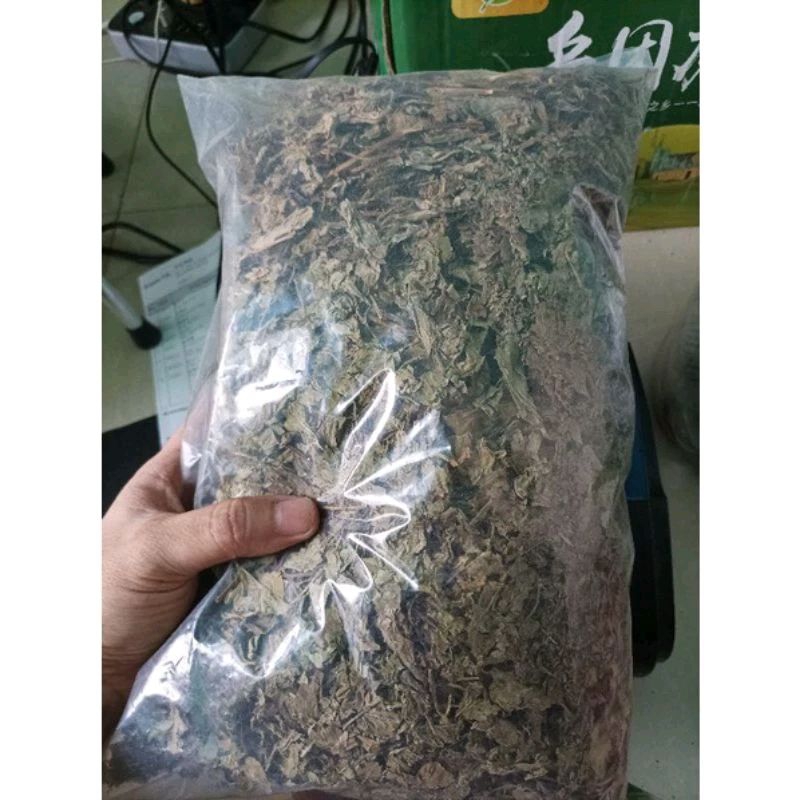 

500 G GR GRAM BO HE YE TEH DAUN MINT GRADE B MENTHOL KERING 薄荷叶