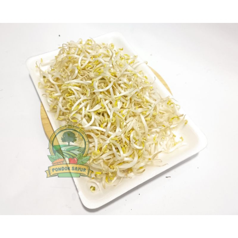 

Tauge segar 250/500Gr