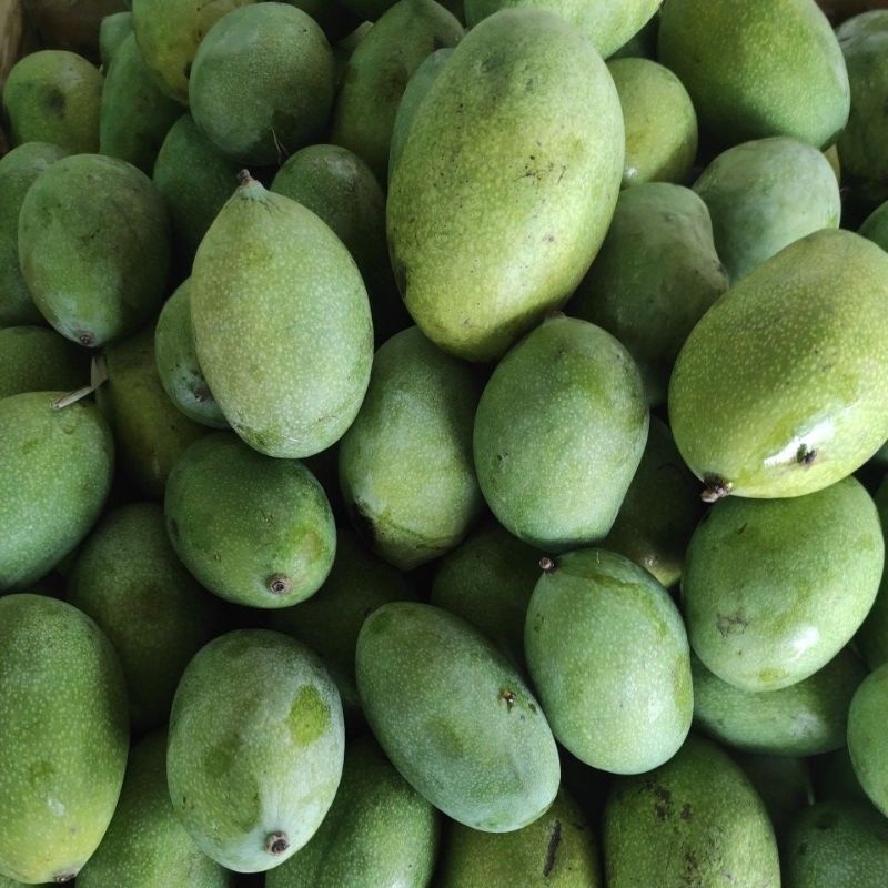 

mangga manalagi madu