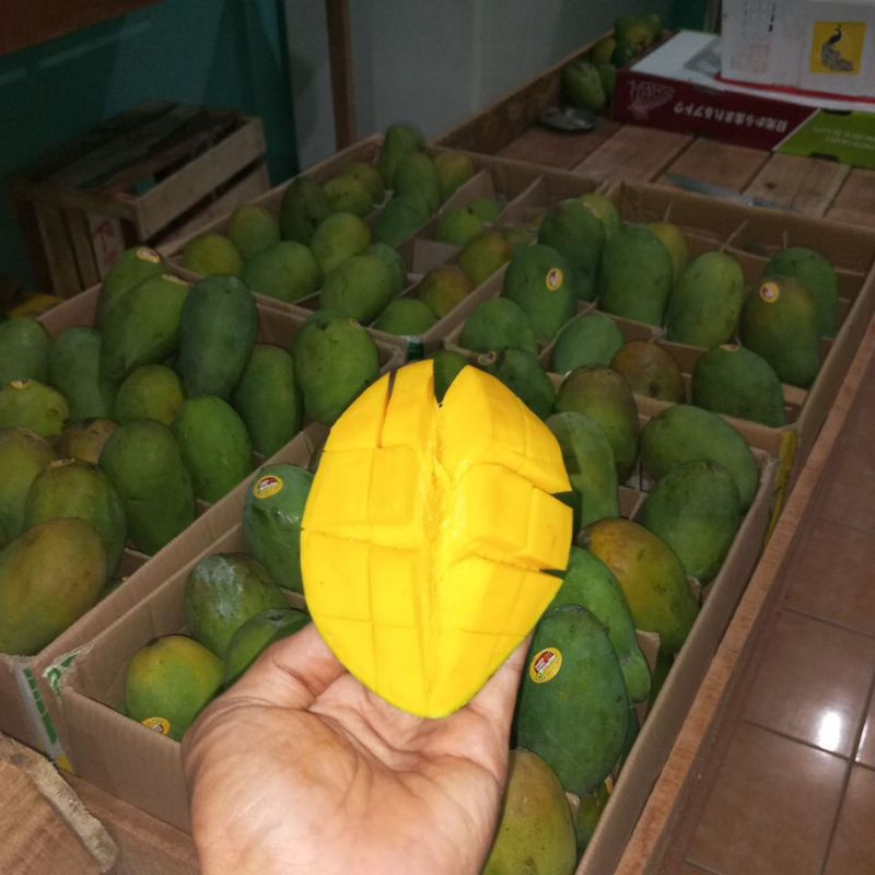 

Mangga Alpukat HR Size Jumbo // kondisi Mateng ( Mangga Harum Manis) Biji Tipis Tidak Berserat 1kg