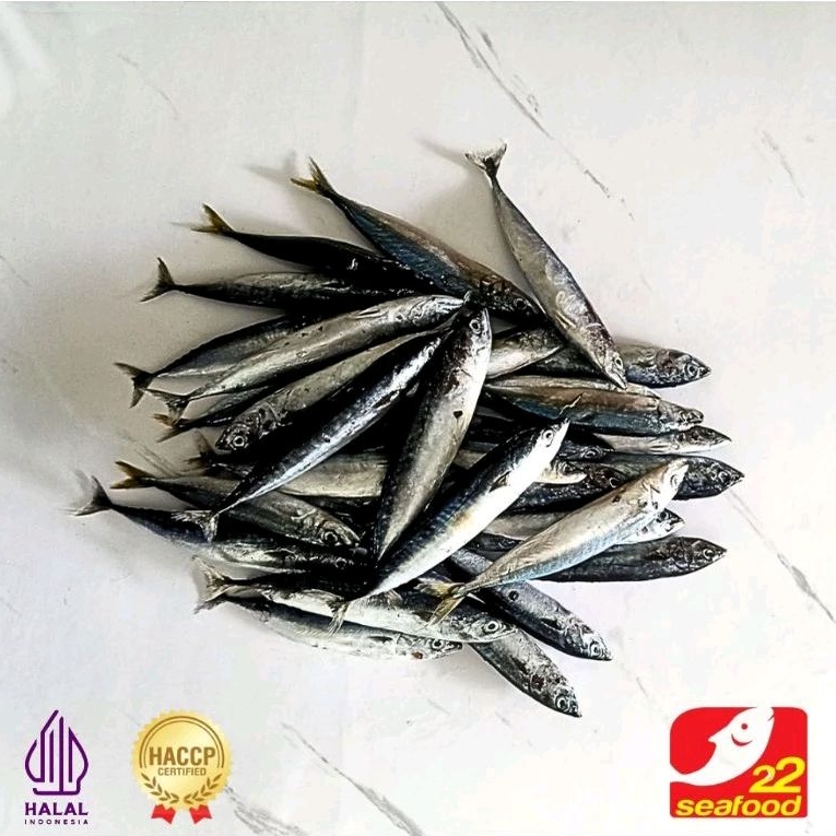 

Tongkol Deho 1 kg isi 10-20 ekor / Ikan Tongkol Kecil / Seafood 22