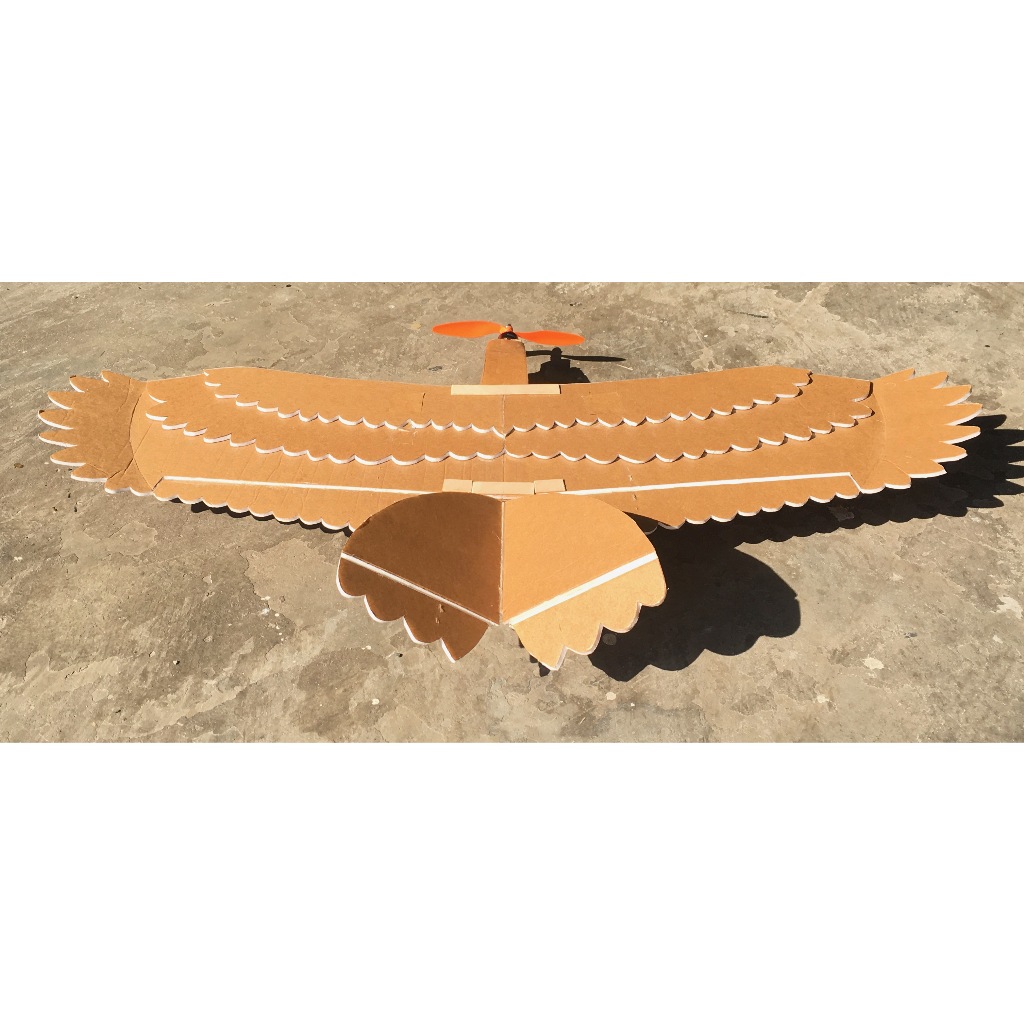 RC Plane "EAGLE" Laser Cut Puzzle Kit