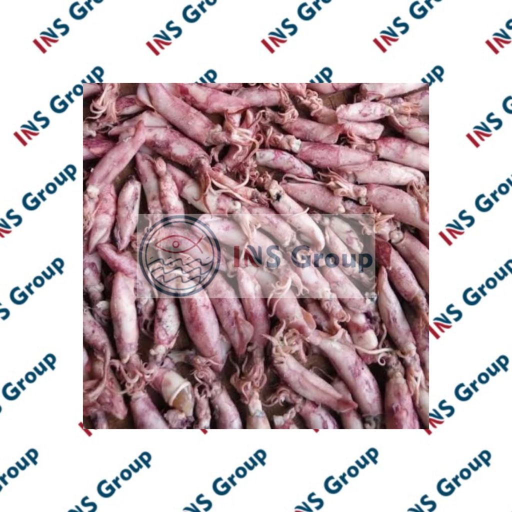 

Asin Cumi 100gr / dijamin Baru dan Fresh