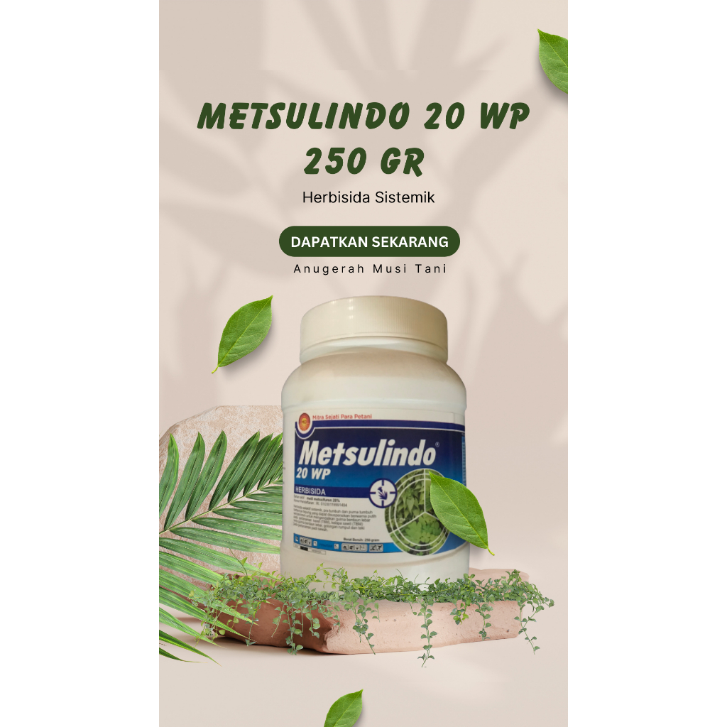 Metsulindo 20 WP 250 gr