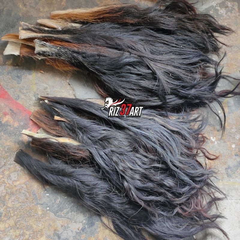 [SUPER] EKOR SAPI WARNA HITAM