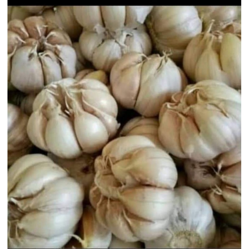 

bawang putih bersihan
