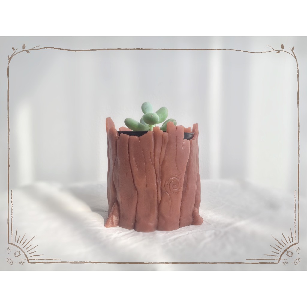 Pot Mini Bentuk Pohon Tunggul