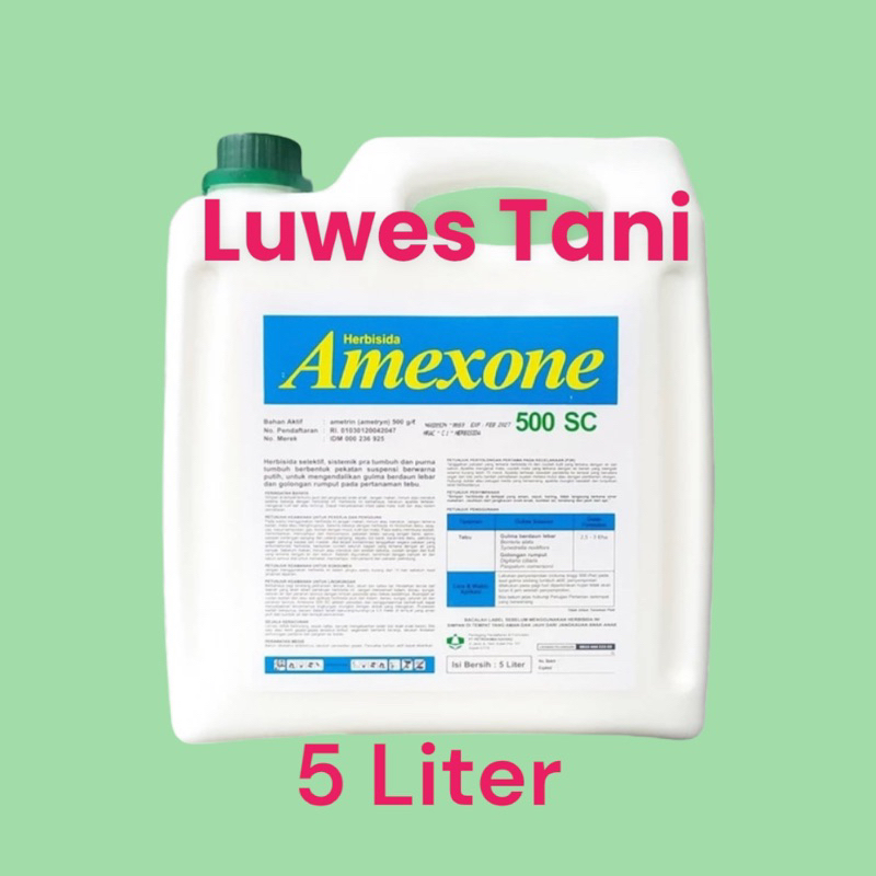 ( 5 Liter ) Herbisida Sistemik AMEXONE 500 SC Gulma Tebu