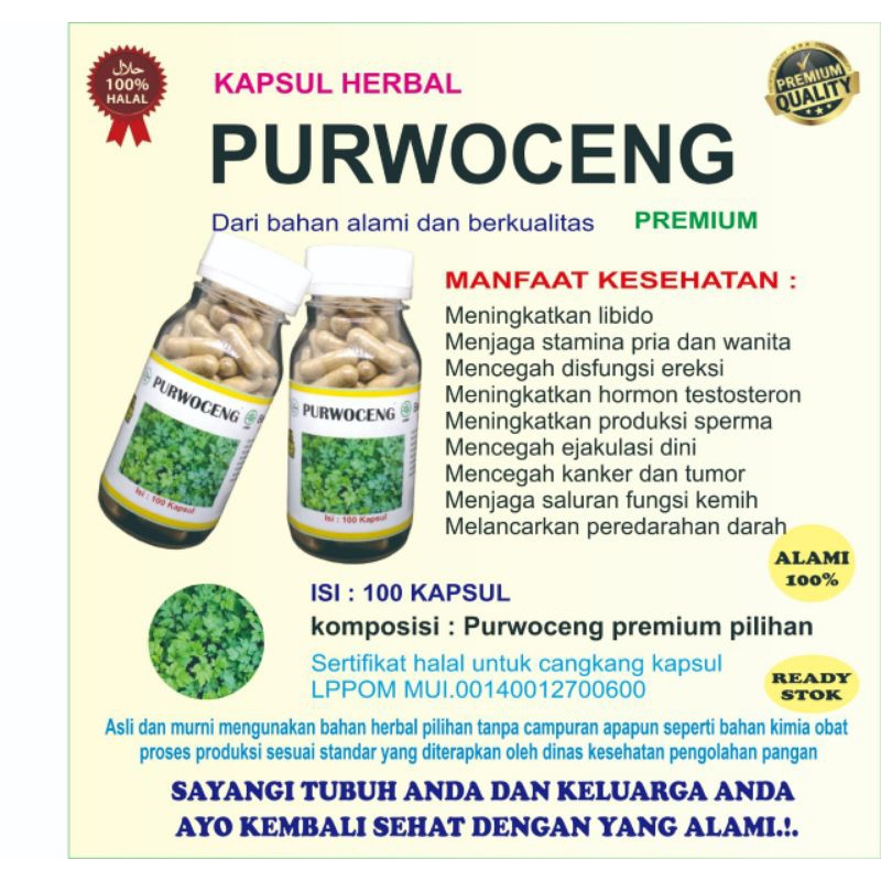 Kapsul Purwoceng Herbal Stamina Pria isi 100 Kapsul