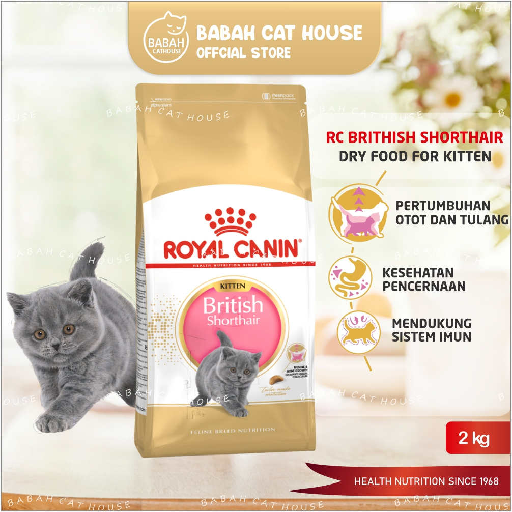 RC BRITISH KITTEN 2KG Cat Food Royal Canin Shorthair Makanan Kucing Anak Kering Britis Kiten Royalcanin Short hair Anakan Catfood 2 Kg