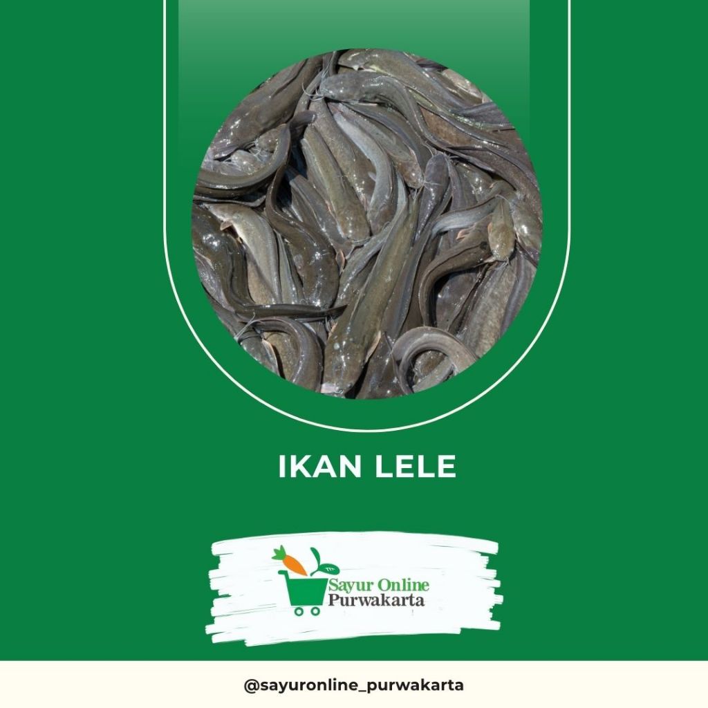

Ikan Lele - Sayur Online Purwakarta