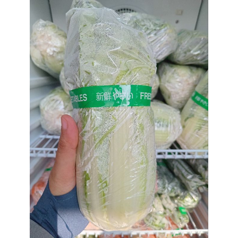 

Sawi putih 1000 gram