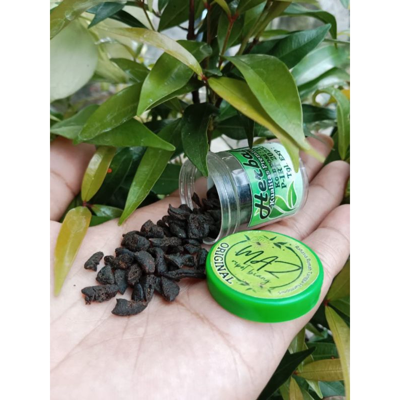 (Isi 3 Pcs) MPOT BIANG MAZ ORIGINAL/JAMU KEWANITAAN/JAMU PROMIL/JAMU MELANCARKAN HAID/MPOT AYAM