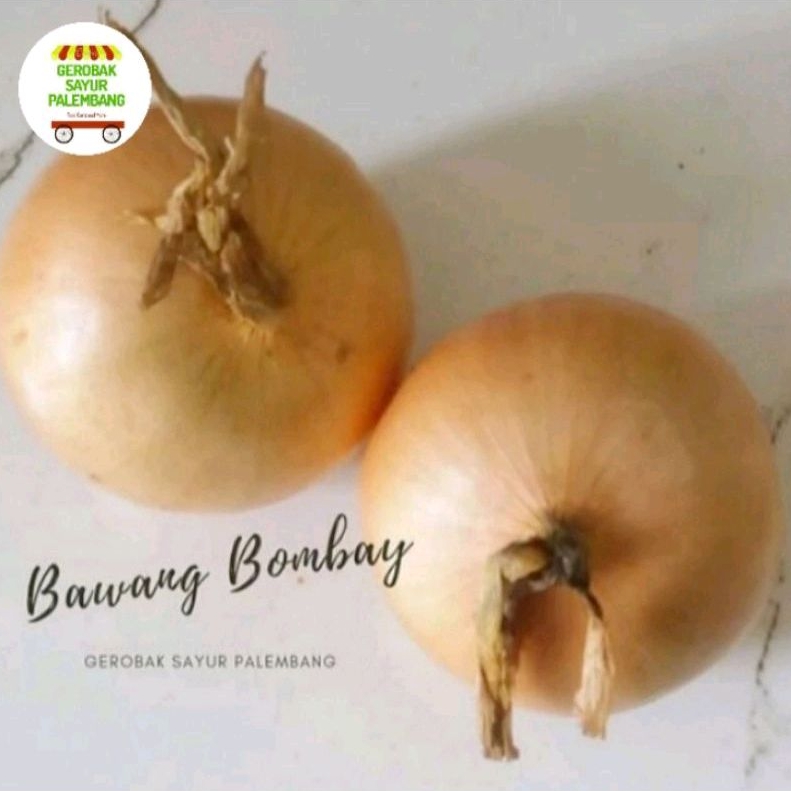 

Bawang Bombay 100 gr