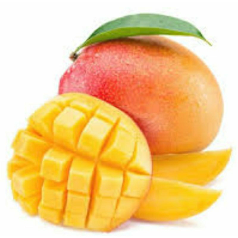 

mangga gedong gincu 500