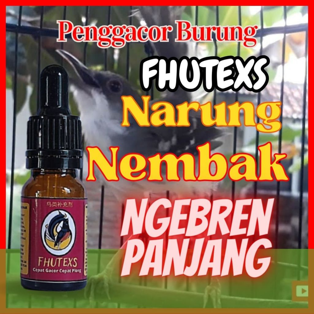 Vitamin Penggacor Burung Fhutexs Ciblek /Doping Penggacor Burung Ciblek /Vitamin Doping Burung Lomba