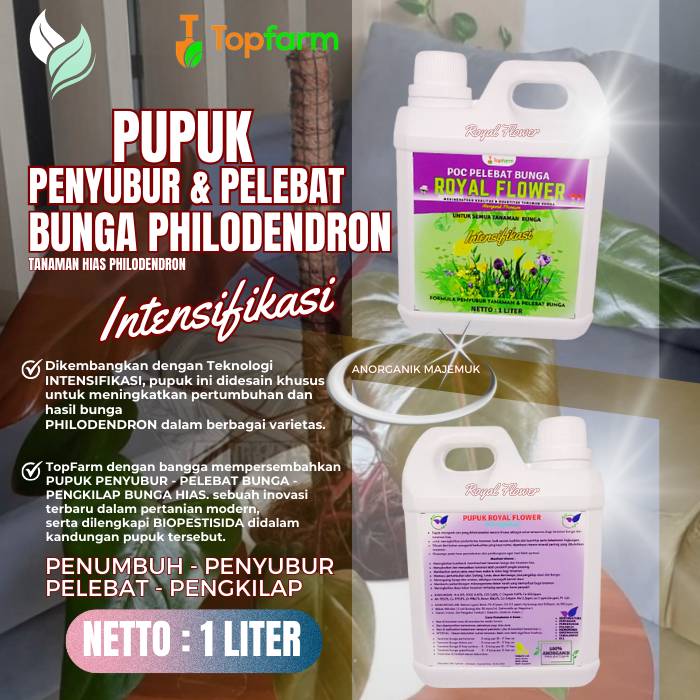 Pupuk Pengkilap Daun Tanaman Hias / Pupuk Tanaman Philodendron / Pupuk Bunga Dan Tanaman Hias / Pupu