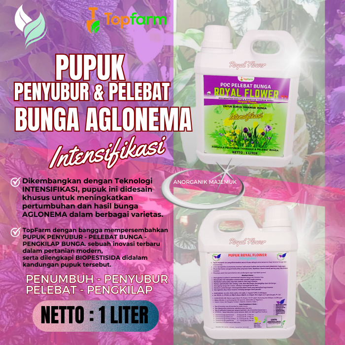 Pupuk Tanaman Hias Daun Bunga / Pupuk Khusus Tanaman Aglonema / Pupuk Khusus Aglonema / Pupuk Aglone