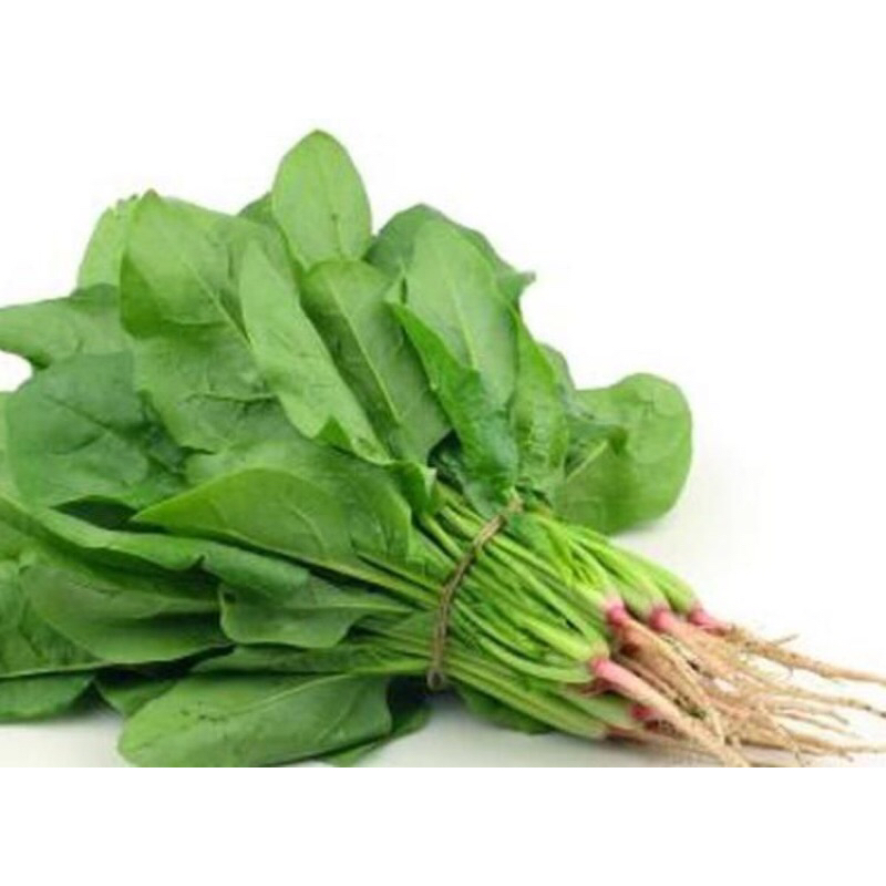 

SIMPLE SAYUR SEGAR BAYAM