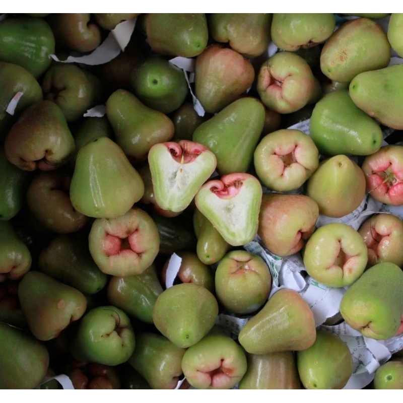 

JAMBU CINCALO MANIS 1KG/JAMBU AIR HIJAU MANIS 1KG/JAMBU AIR FRESH