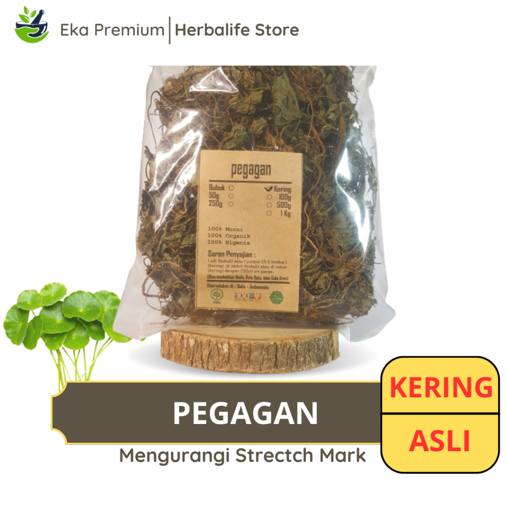 

PEGAGAN KERING Daun Antanan Ramuan Rempah Herbal Asli Jamu Minuman Alami Murni Kaki Kuda Tradisional Simplisia Centella Asiatica