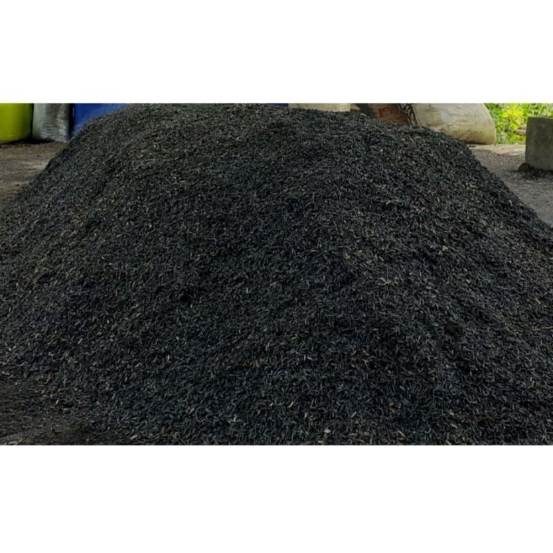 SEKAM ORIGINAL,SEKAM BAKAR,ABU SEKAM